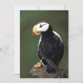 Carte Alaska Tampins (Devant)