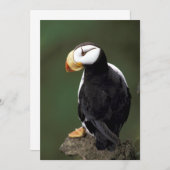 Carte Alaska Tampins (Devant / Derrière)