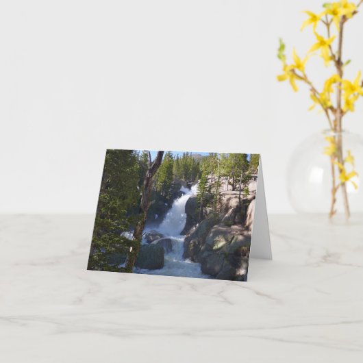 Carte Alberta Falls I (Fleur jaune)