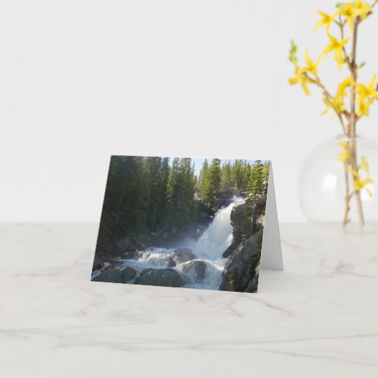 Carte Alberta Falls II (Fleur jaune)