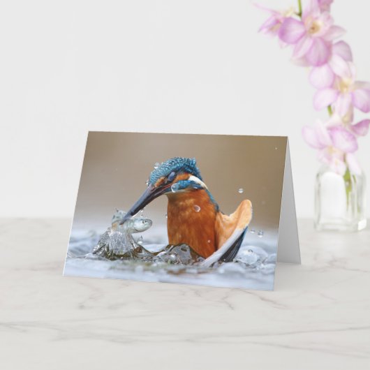 Carte Alcedo Atthis Kingfisher eau de chasse Luca Casale (Orchidée)