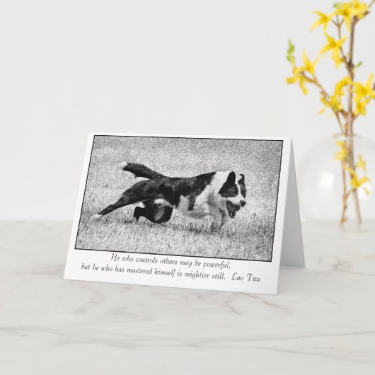 Carte Alimentation (Fleur jaune)