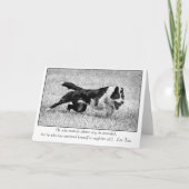 Carte Alimentation (Devant)