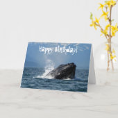 Carte Alimentation de baleines à bosse (Fleur jaune)