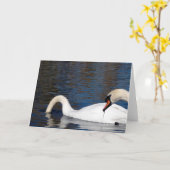 Carte Alimentation des cygnes (Fleur jaune)