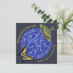 Carte Alimenté par le soleil - Aveuglé par la lumière Ca