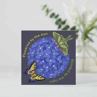 Carte Alimenté par le soleil - Aveuglé par la lumière Ca