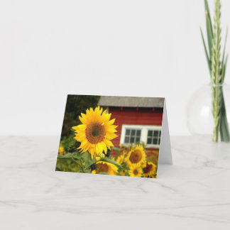 Carte all occasion/sunflower