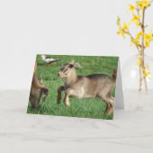 Carte All Occasions Happy Baby Goat (Fleur jaune)