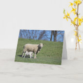 Carte Allaitement d'agneau (Fleur jaune)