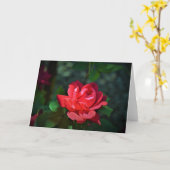 Carte allegoricallittera.blogspot.com Red Rose, rose (Fleur jaune)