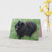 Carte allemande Spitz Cute Black Pomeranian pour c (Fleur jaune)