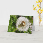 Carte Aller aux semences (Fleur jaune)