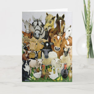 Carte Allergies animales