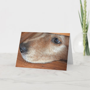 Carte Allez Bien Bientôt Golden Retriever Peeers Sous La