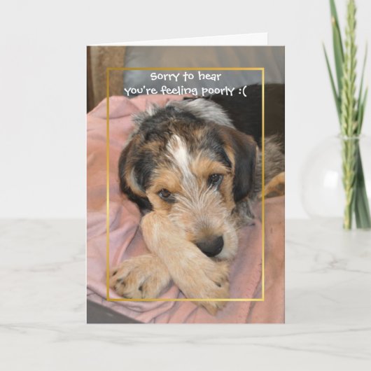 Carte Allez, chien bientôt (Devant)