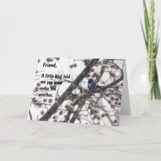 Carte Allez, un petit oiseau m'a dit que vous étiez sous