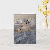 Carte Allez-y bientôt (Fleur jaune)