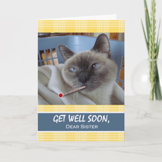 Carte Allez-y bientôt pour Soeur, Chat malade dans le pa (Devant)