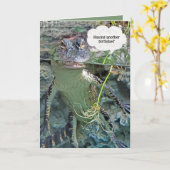 Carte alligator dans l'eau d'étang humour d'anniversaire (Fleur jaune)