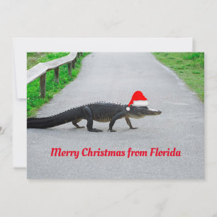 Carte Alligator Joyeux Noël de Floride drôle