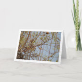 Carte Almonds sur la branche (Devant)