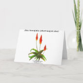 Carte Aloe par Debra Lee Baldwin (Dos)