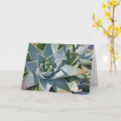 Carte Aloe par Debra Lee Baldwin (Fleur jaune)