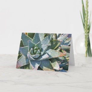 Carte Aloe par Debra Lee Baldwin