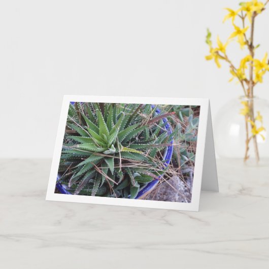 Carte Aloe Plante succulent en Pot (Fleur jaune)