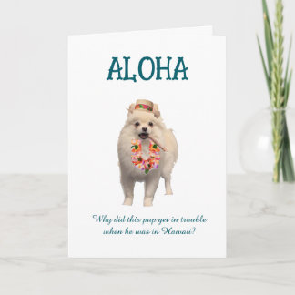 Carte Aloha Joke Card with Pup