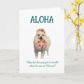 Carte Aloha Joke Card with Pup (Fleur jaune)
