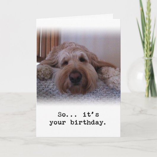 Carte Alors... C'est ton anniversaire (Devant)