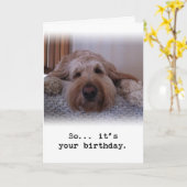 Carte Alors... C'est ton anniversaire (Fleur jaune)