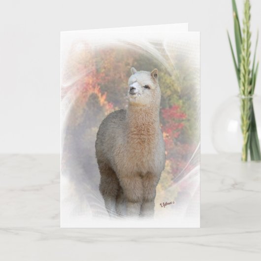 Carte Alpaca Automne (Devant)