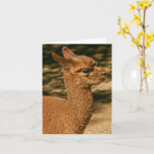 Carte Alpaca Cria (bébé) - "Papa's Surprise" (Fleur jaune)