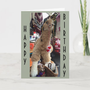 CARTE ALPACA DONNE DES "CONSEILS D'ANNIVERSAIRE" SUR COM