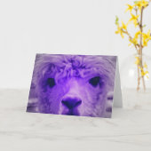 Carte Alpaca d'une autre couleur (Fleur jaune)