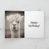 Carte Alpaca en noir et blanc, Anniversaire (Intérieur)