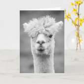 Carte Alpaca en noir et blanc, Anniversaire (Fleur jaune)