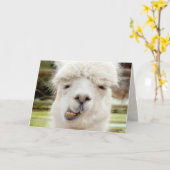 Carte Alpaca Funny (Fleur jaune)