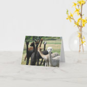 Carte Alpaca Greetings (Fleur jaune)