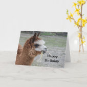 Carte Alpaca Manger Hay Animal Photo Anniversaire (Fleur jaune)