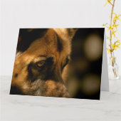 Carte Alsatian Emotions Anniversaire (Fleur jaune)