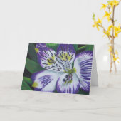 Carte Alstroemeria (Fleur jaune)