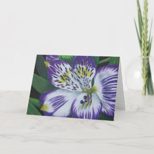 Carte Alstroemeria