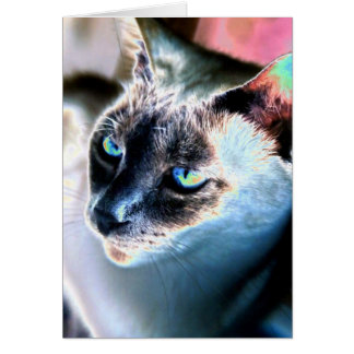 Carte Alterrée Chat Siamese Aloof (Intérieur Vide)