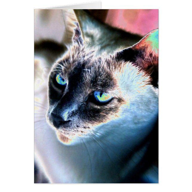 Carte Alterrée Chat Siamese Aloof (Intérieur Vide) (Devant)