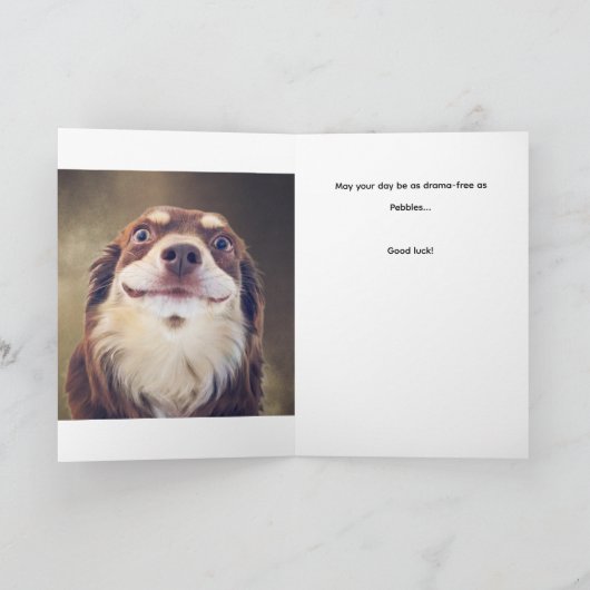 Carte Am I The Drama? (Intérieur)