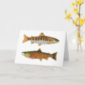 Carte Amago & Masu Saumon du Japon (Fleur jaune)